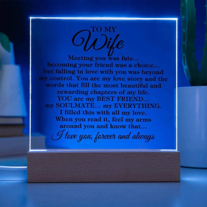 To My Wife - Meeting You Was Fate - Acrylic Plaque