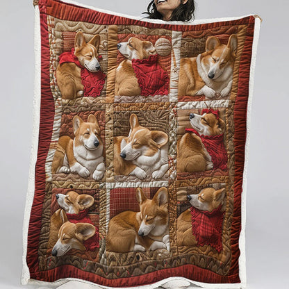 Happy Corgi Sleeping Blanket - D255 - Premium Blanket