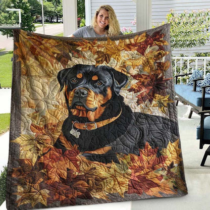 Rottweiler'S Autumn Breeze Blanket - D248 - Premium Blanket