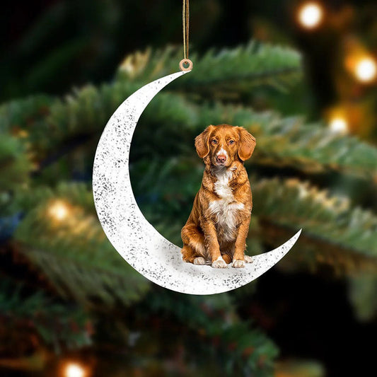 Nova Scotia Duck Tolling Retriever Sit On The Moon Ornament MO084