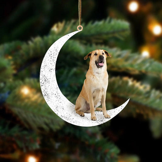 Chinook Sit On The Moon Ornament MO136