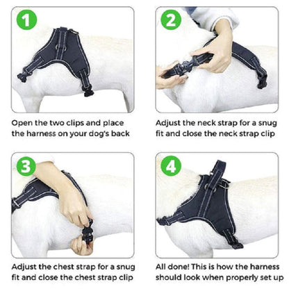 Sale Adjustable Safety Dog Harness