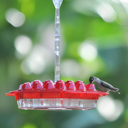 Mary's Hummingbird Feeder With Perch and Built-in Ant Moat