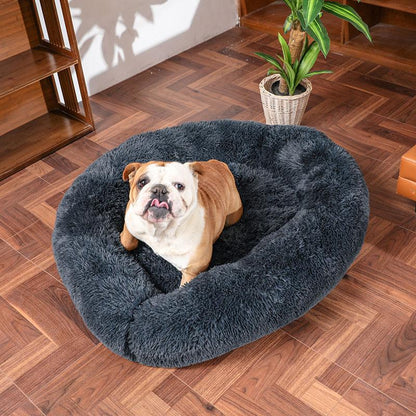 (Last Day Promotion, 55% OFF)Comfy Calming Dog/Cat Bed