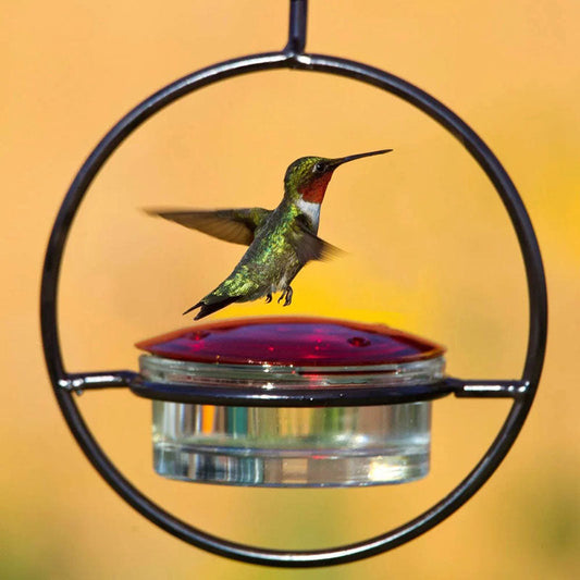 Hummble Slim Hummingbird Feeder