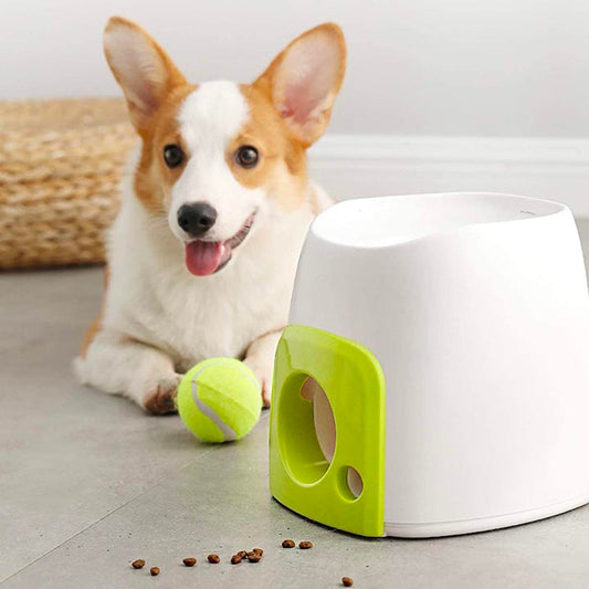 Automatic Interactive Dog Tennis Ball Launcher