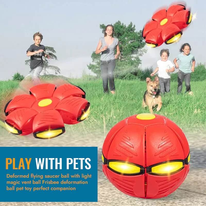 🐾Pet Toy Flying Saucer Ball