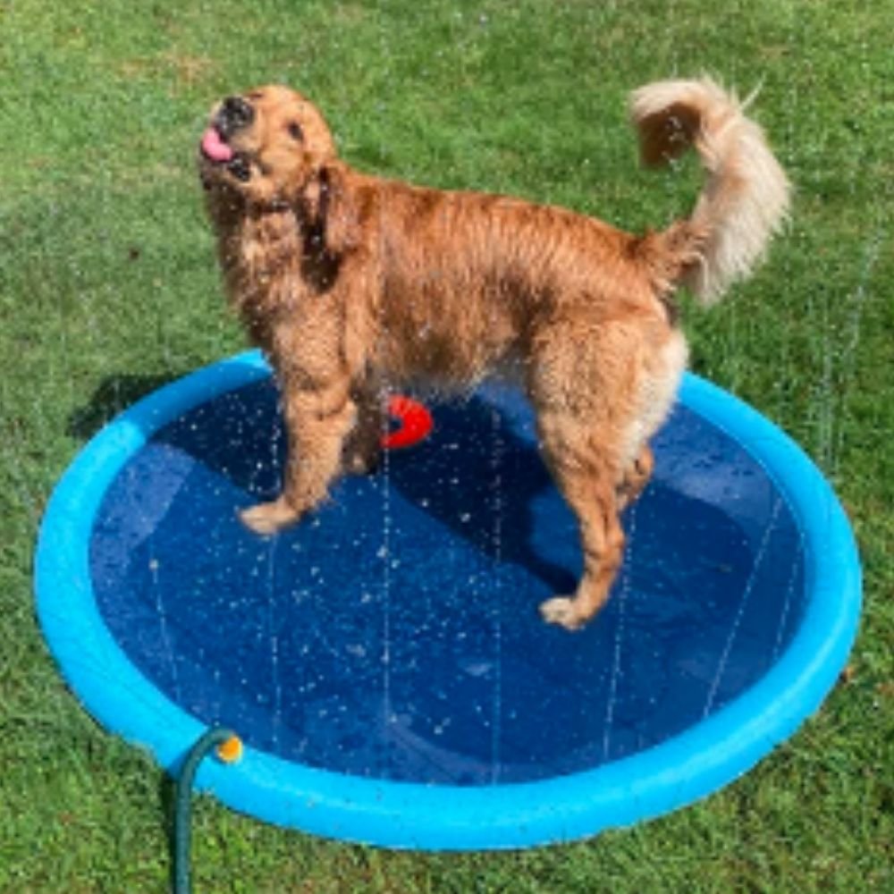 Dog Splash Sprinkler Pad