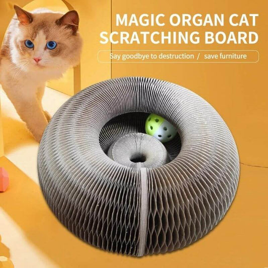 Magic Organ Cat Scratching Board — Comes with a toy bell ball