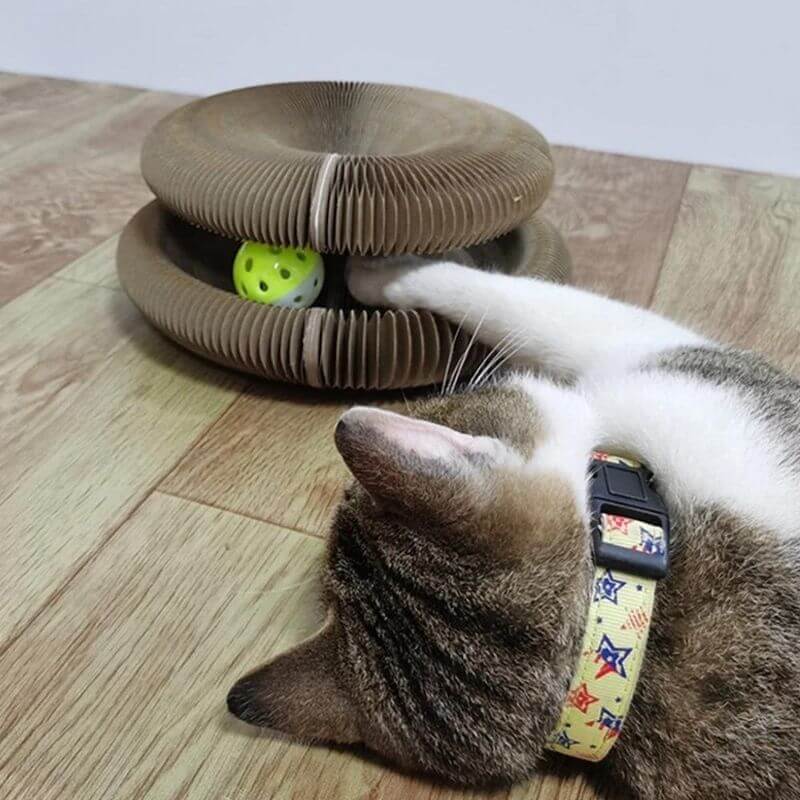 Magic Organ Cat Scratching Board — Comes with a toy bell ball