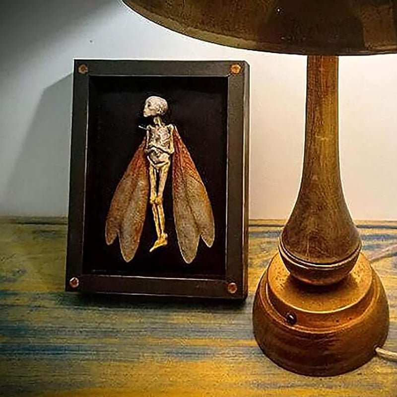 Handcrafted Mummified Fairy Display