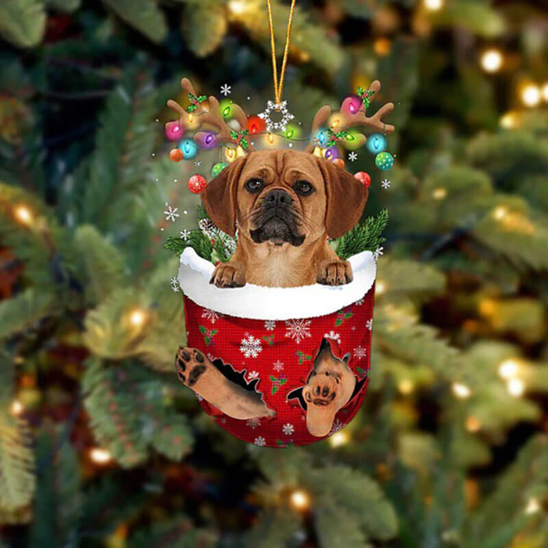 Puggle In Snow Pocket Christmas Ornament SP037