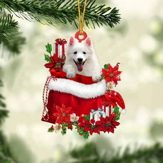 American Eskimo In Gift Bag Christmas Ornament GB038