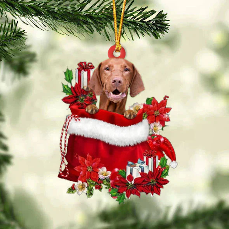 Vizsla In Gift Bag Christmas Ornament GB115