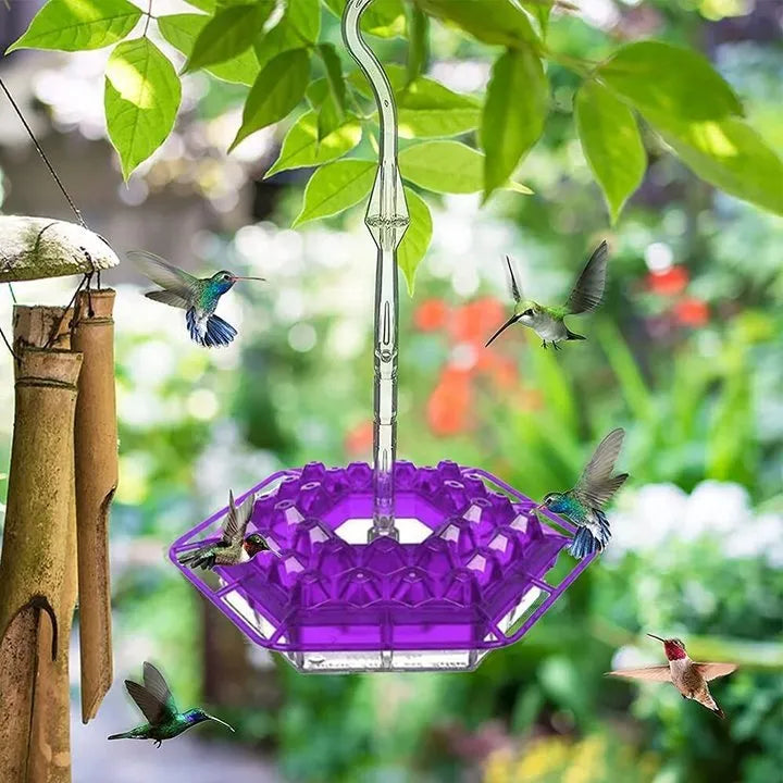 Mary's Hummingbird Feeder With Perch and Built-in Ant Moat