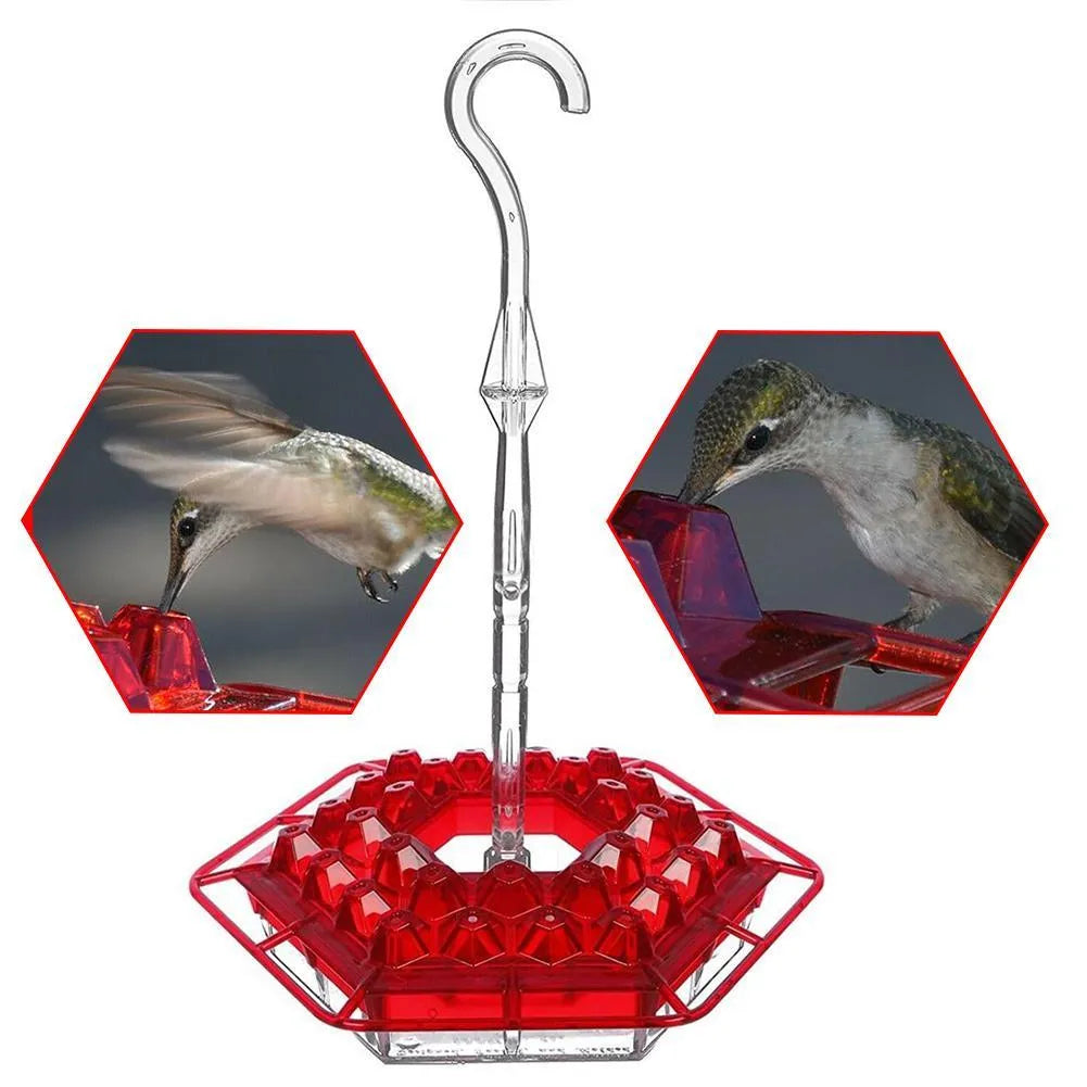 Mary's Hummingbird Feeder With Perch and Built-in Ant Moat